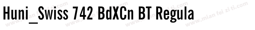 Huni_Swiss 742 BdXCn BT Regular字体转换